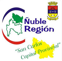 NOTICIAS COMITE ÑUBLE REGION SAN CARLOS